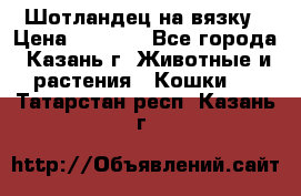 Шотландец на вязку › Цена ­ 1 000 - Все города, Казань г. Животные и растения » Кошки   . Татарстан респ.,Казань г.